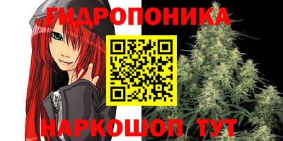 дмт Малгобек