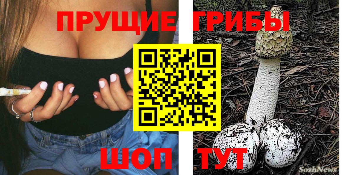 Псилоцибиновые грибы Psilocybe  Вход с VPN  Псилоцибиновые грибы прущие грибы  Зеленогорск 